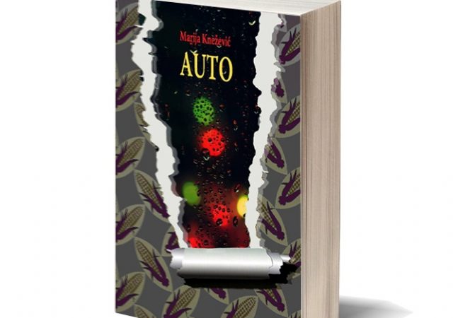 auto2018-11