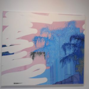 DSCN3022