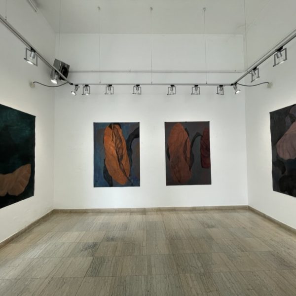 203A7747-332A-4305-B9CE-A7FB9C5D3FFF_1_105_c