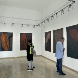 C084DDE8-BD94-4CF2-96D5-DDD785396A2B_1_105_c