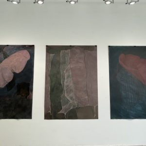 D91E9033-CC02-48B7-86A1-155632958C9B_1_105_c