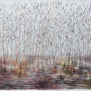 Слободан Радојковић, Траве, графит и пастел, 120x150 цм, 2023.