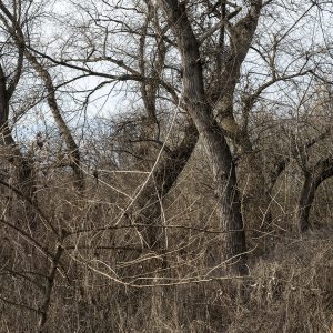 Savic_Ovo nije to mesto 03