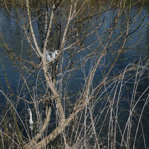 Savic_Ovo nije to mesto 04