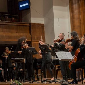 Nemanja Radulovic&DoubleSens_16