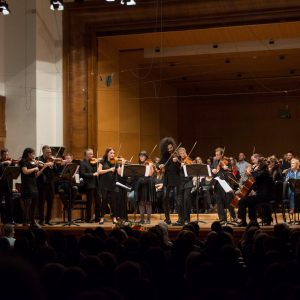 Nemanja Radulovic&DoubleSens_34