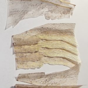 predlošci instalacije 2 , Logos u pokretu , Lj.Bursac