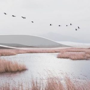 AleksandraŽivković 1