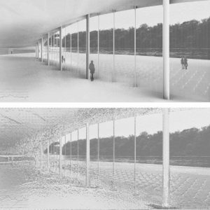 ŽeljanaDavidović 1