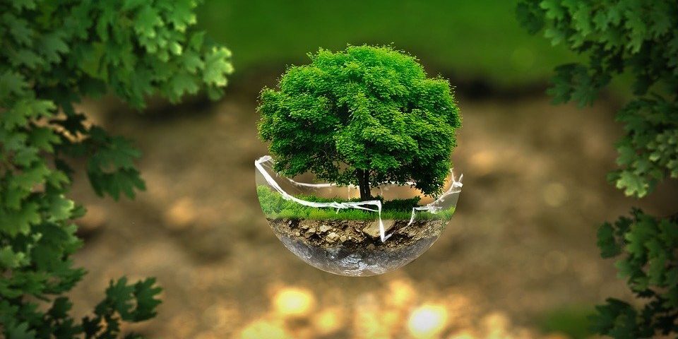 environment-2196690_960_720
