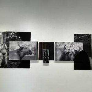 UNADJUSTEDNONRAW_thumb_2d1a