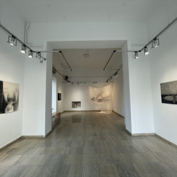 2A662134-E25C-46D8-BD59-48D5A2794874_1_105_c