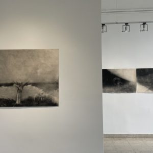 5E1C4C38-6265-4719-82B3-669C51884E18_1_105_c