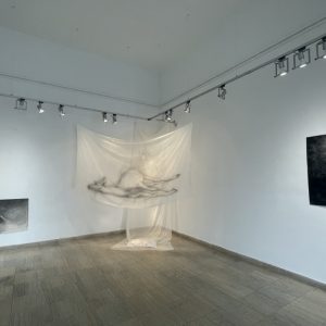 9EA321DD-4843-492F-9F1A-4B149E4C459C_1_105_c