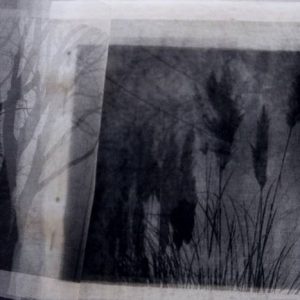 Марија Лабудовић Пантелић, Поема, комбинована техника, 34x41цм, 2024.